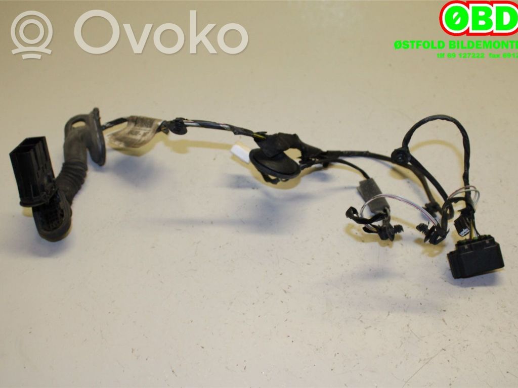 Cablaggio elettrico   1458079,98408810,1458079,98408810