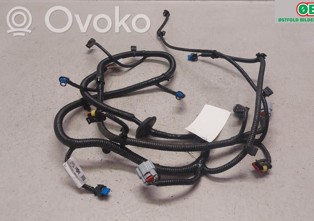 Hongqi E-HS9 Mazo de cables 