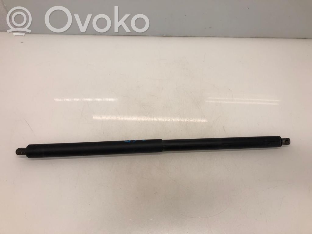 Tesla Model S Ammortizzatore portellone posteriore/bagagliaio 