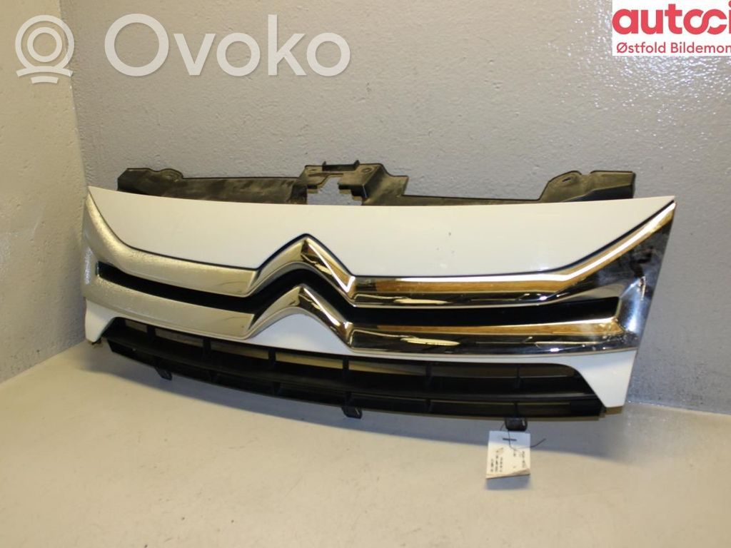 Citroen Jumpy Front grill 