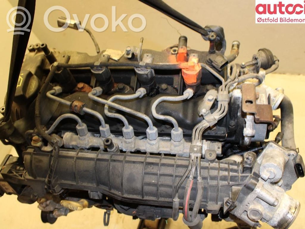 KIA Sportage Variklis 