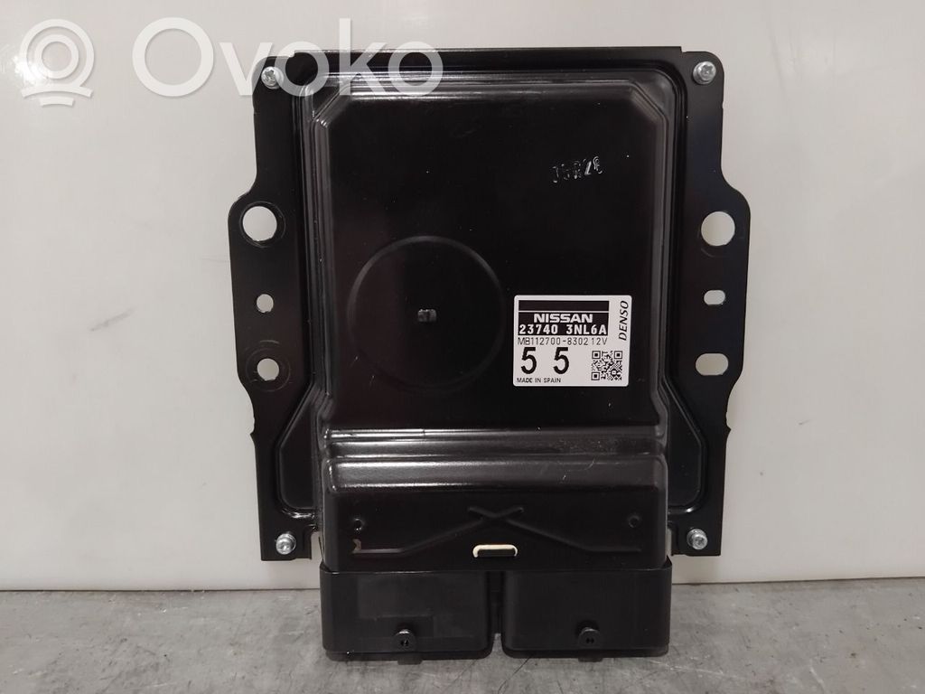 Nissan Leaf I (ZE0) Other control units/modules 