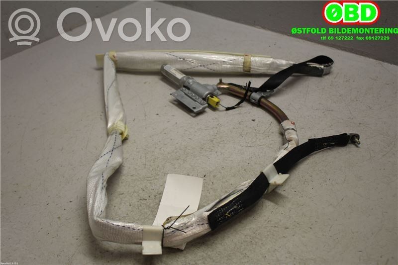 BMW X5 E53 Airbag da tetto 