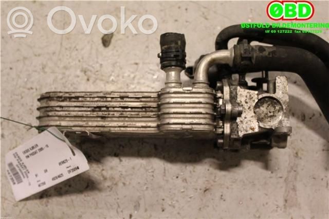 Volkswagen PASSAT B6 Răcitor supapă EGR