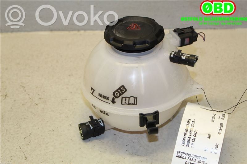 Skoda Fabia Mk3 (NJ) Vas expansiune combustibil 