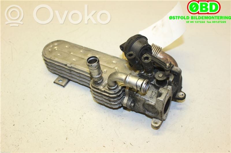 Volkswagen PASSAT B6 Răcitor supapă EGR