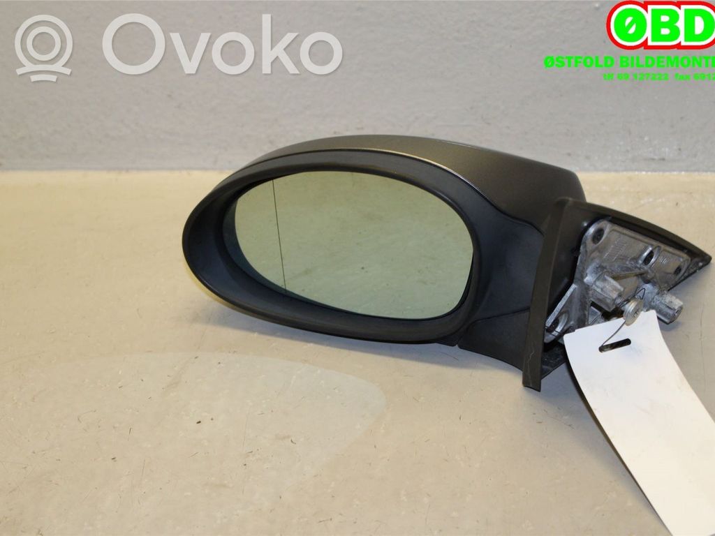 Veidrodėlis (elektra valdomas)   51167176167,51167176167