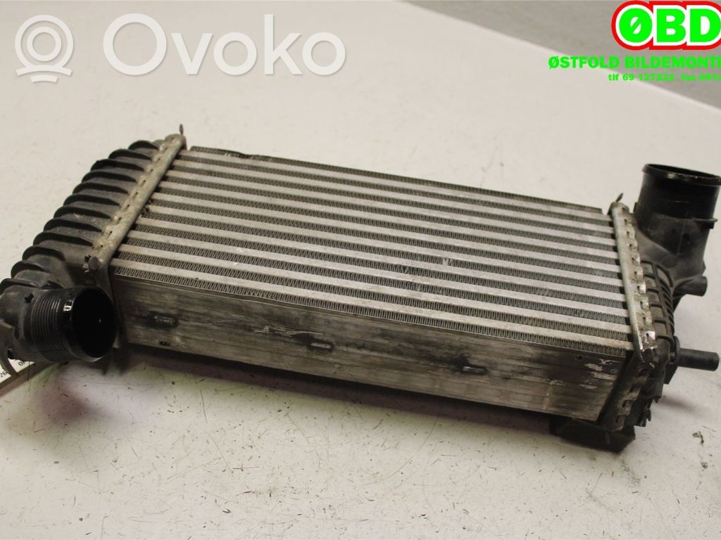 Ford Transit -  Tourneo Connect Radiator intercooler 