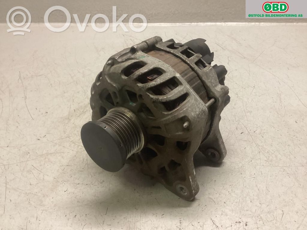 Alternador   231005300R,231005300R