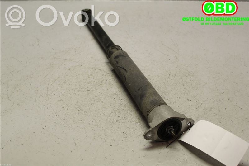 Ford Fiesta Amortizor spate 