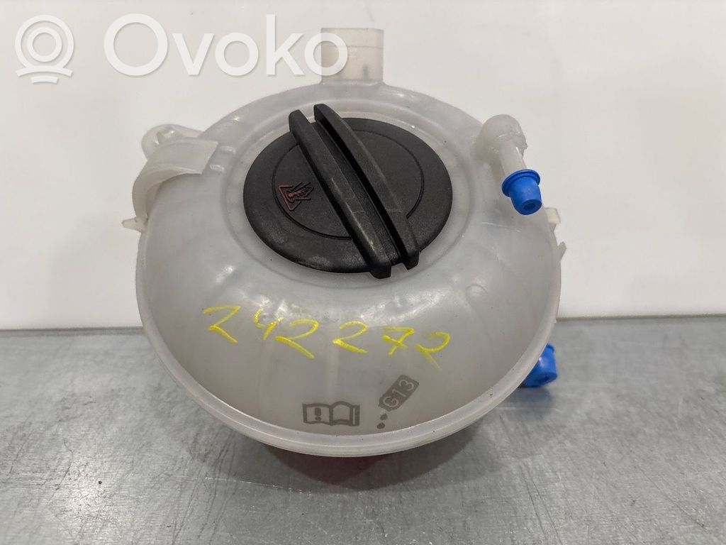 Volkswagen e-Golf Vaso di espansione carburante 