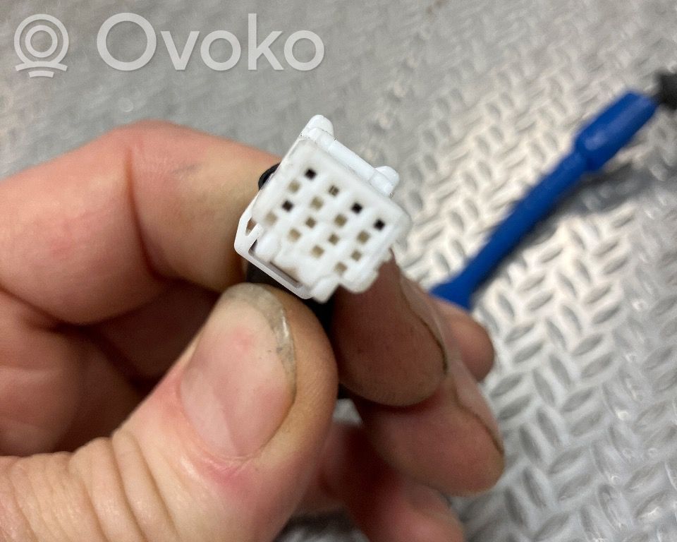 Nissan Leaf I (ZE0) Frontkamera Windschutzscheibe Frontscheibe 