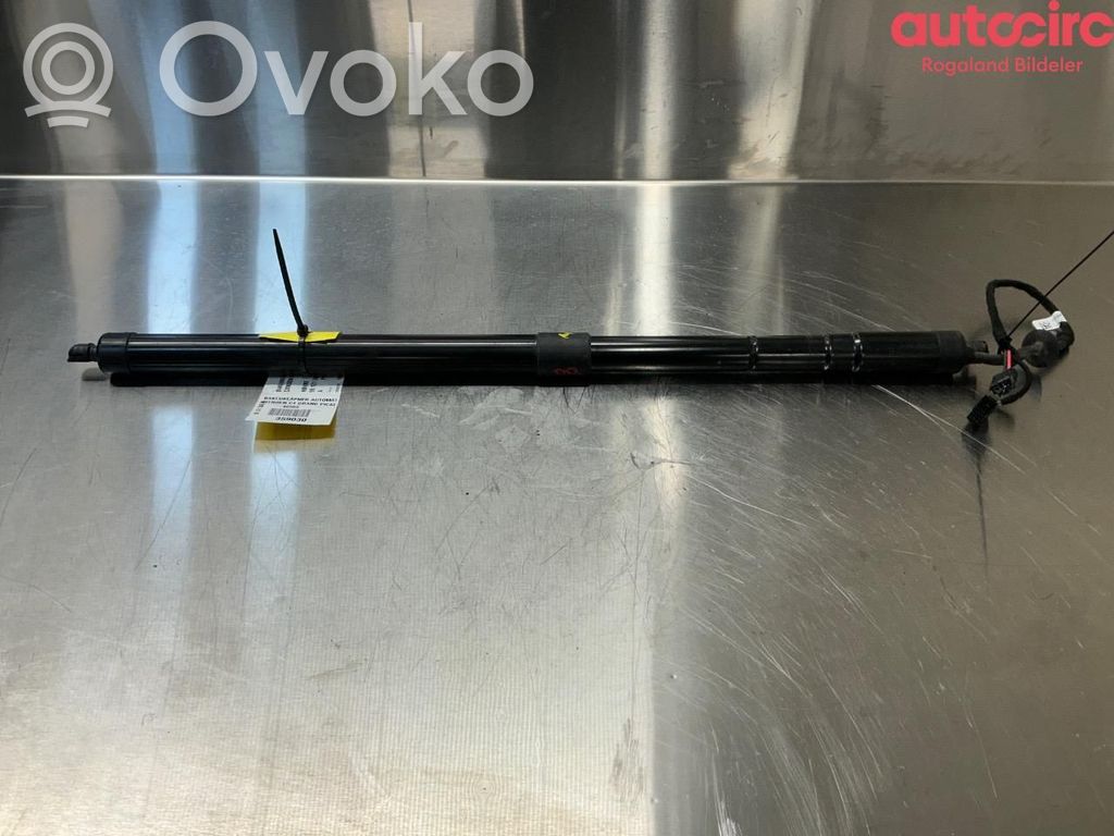 Citroen C4 II Picasso Motor ridicare hayon/capotă portbagaj 