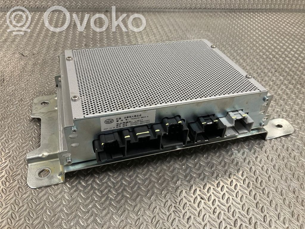 Hongqi E-HS9 Amplificatore 