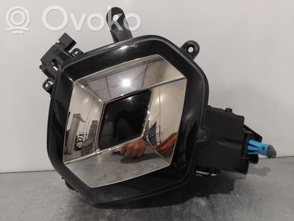 Schermo del visore a sovrimpressione   297862446R,297862446R