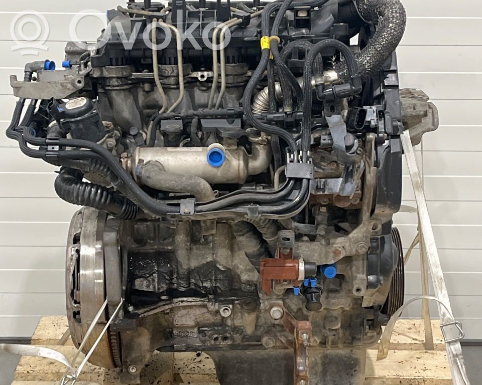 Engine   36050299,36050299,36050299,36050299,D4164T