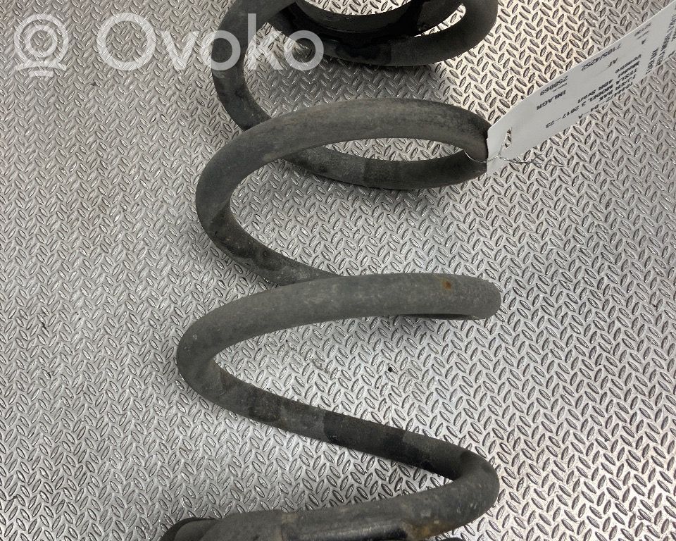 Tesla Model 3 Molla elicoidale posteriore con cuscinetti in gomma 