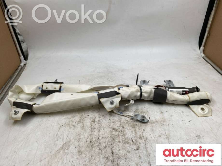 Tesla Model X Airbag del techo 