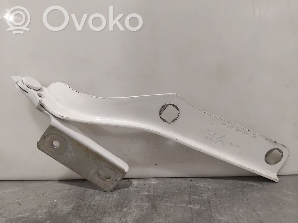 Citroen Berlingo Dzinēja pārsega eņģe (-es) 