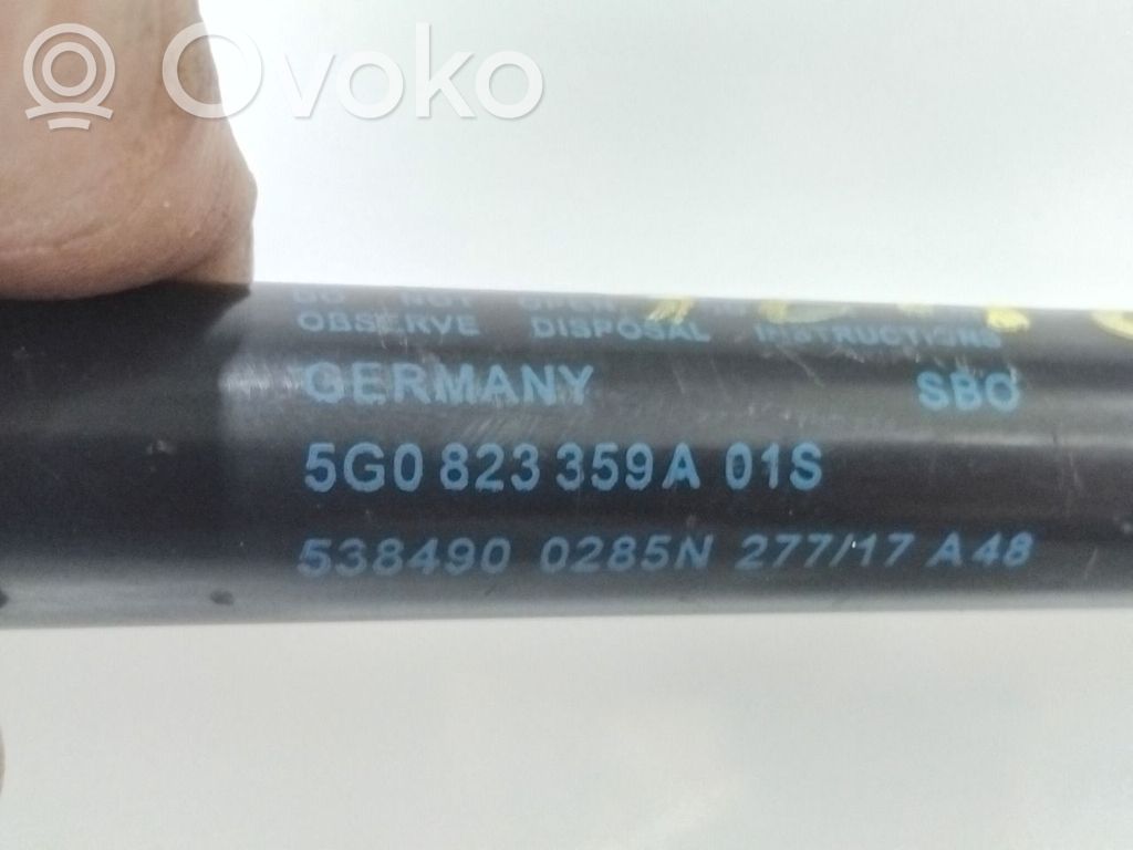 Volkswagen e-Golf Ammortizzatore portellone anteriore/cofano