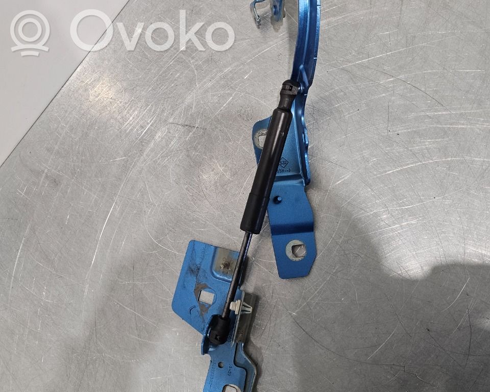 Renault Zoe Charnière, capot moteur 