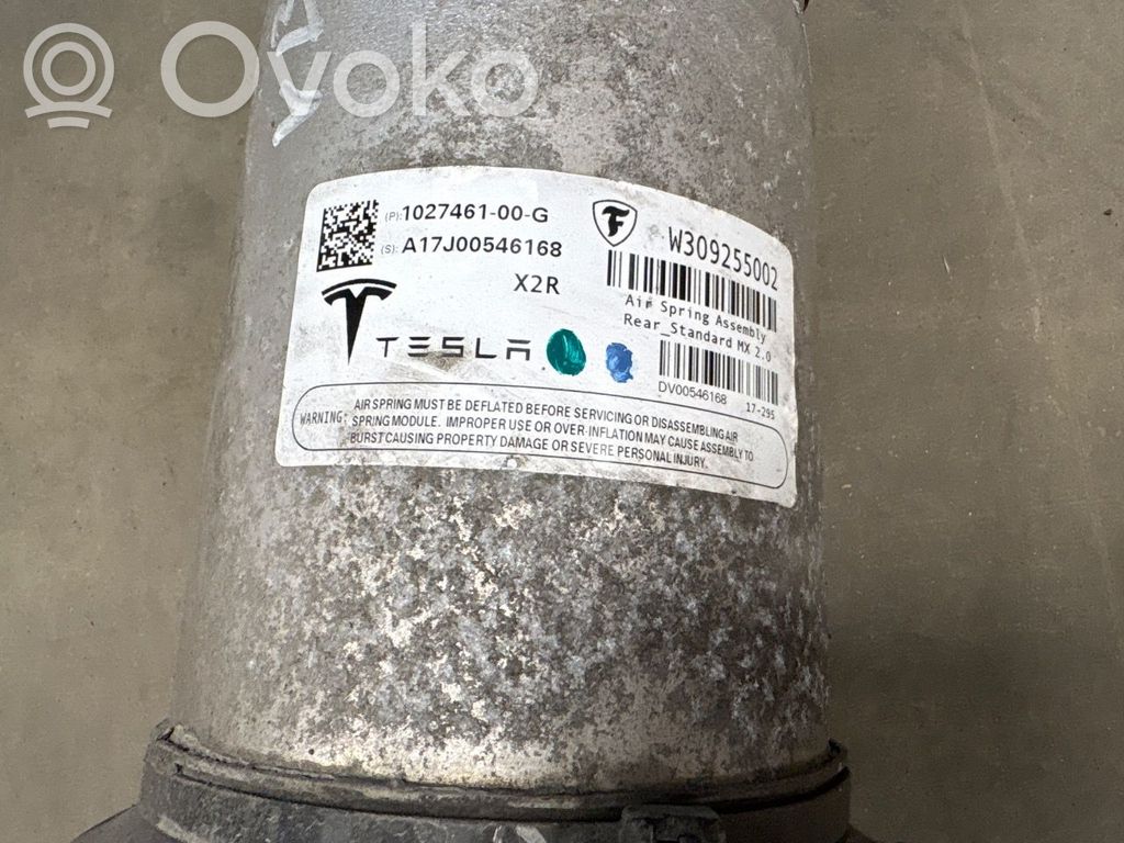 Tesla Model X Bolsa de la suspensión neumática 