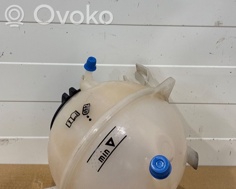 Volkswagen Tiguan Vaso di espansione carburante