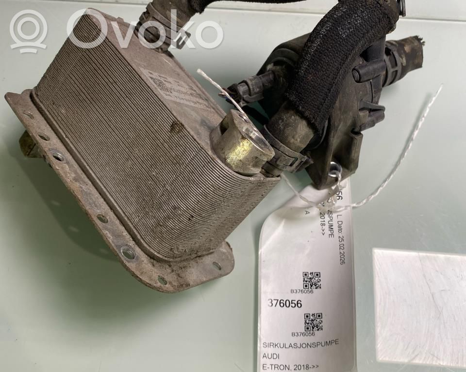 Audi e-tron Autonominio šildytuvo (webastos) cirkuliacinis siurbliukas 