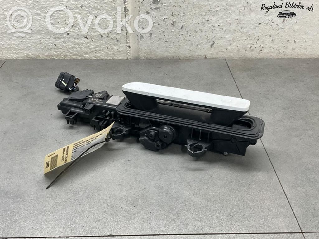 Hongqi E-HS9 Manecilla externa puerta trasera 