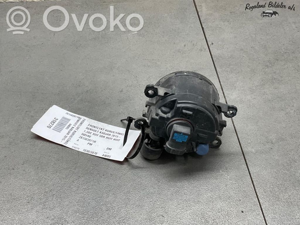 Renault Kadjar Fendinebbia anteriore