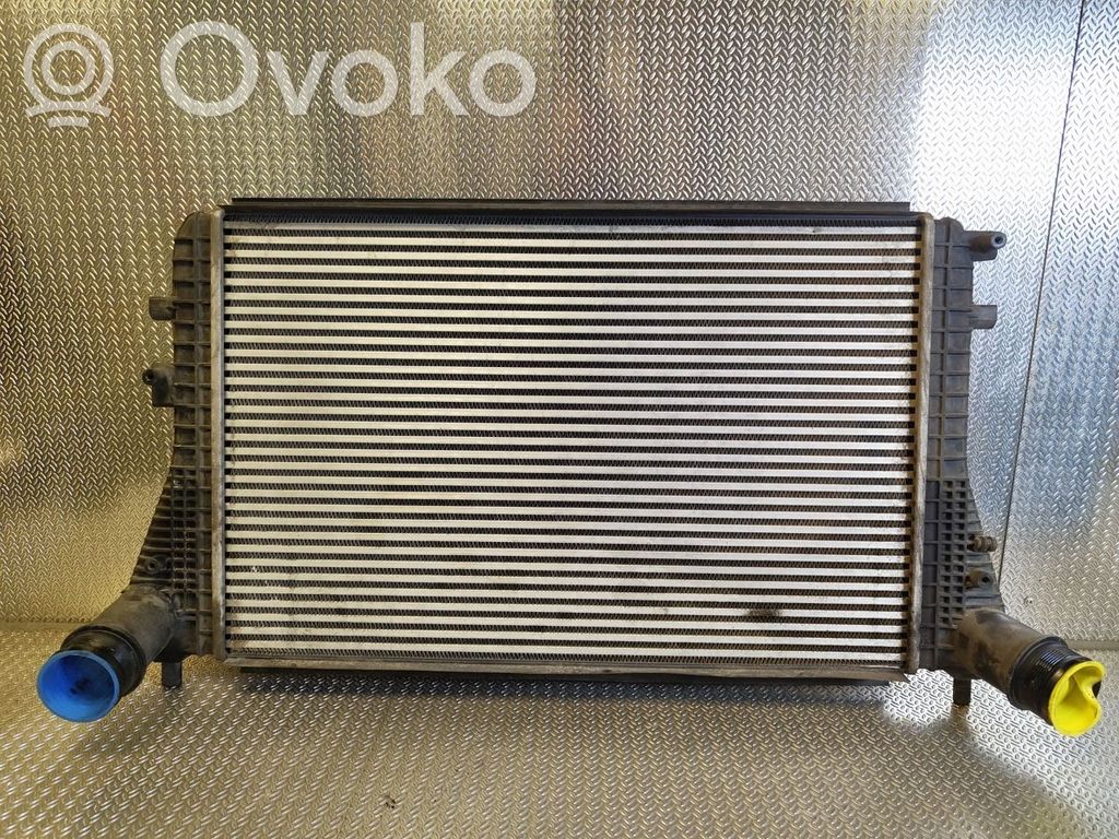 Volkswagen Golf VI Radiatore intercooler