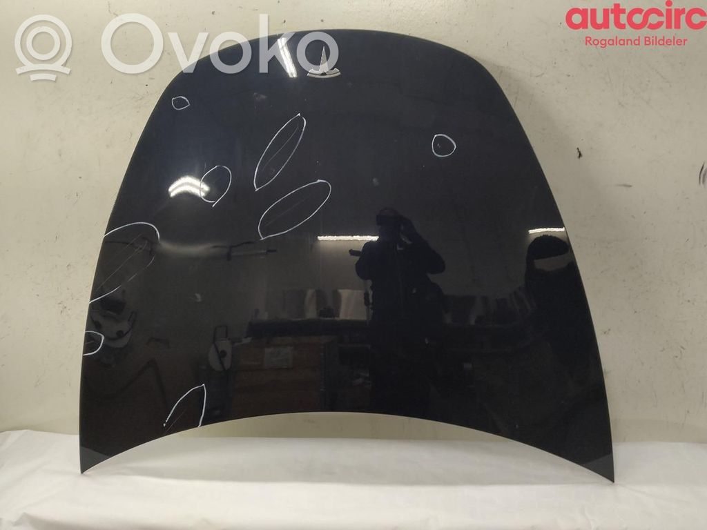 Tesla Model 3 Engine bonnet/hood 