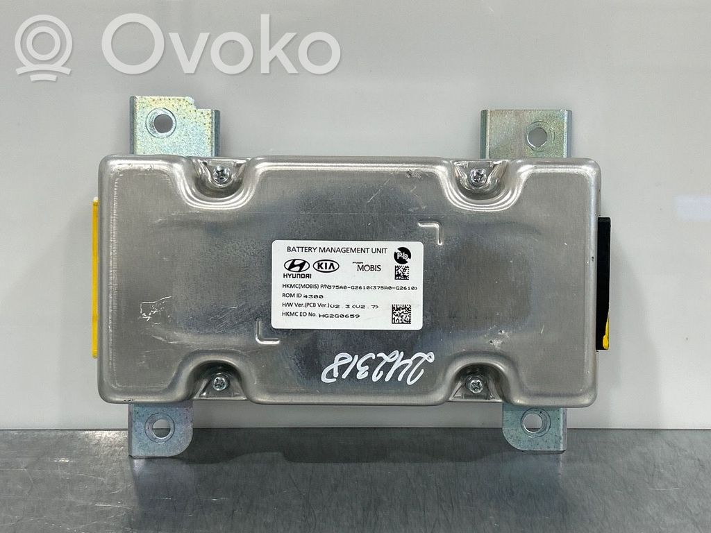Hyundai Ioniq Battery control module 