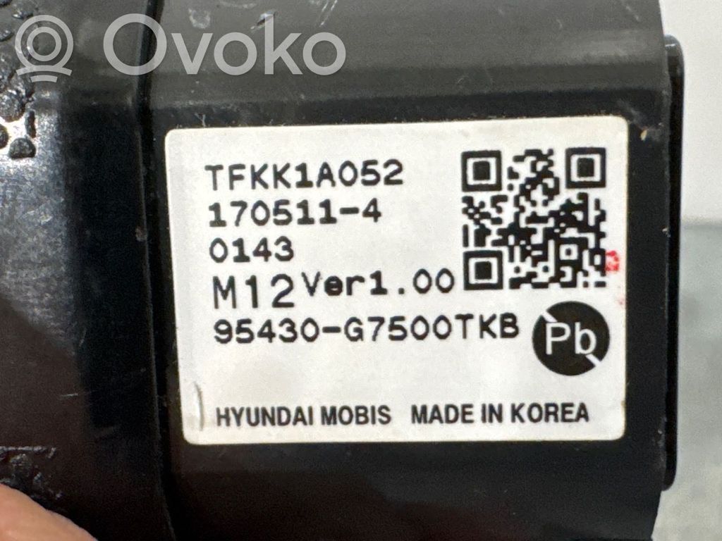 Hyundai Ioniq Automobilio užvedimo jungtukas 