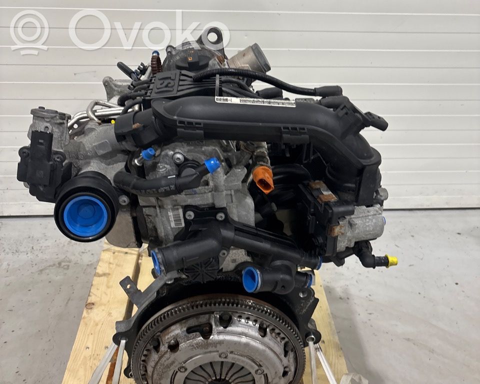 Skoda Octavia Mk2 (1Z) Variklis 
