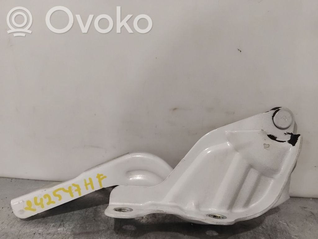 Hyundai Kona I Cerniere del vano motore/cofano