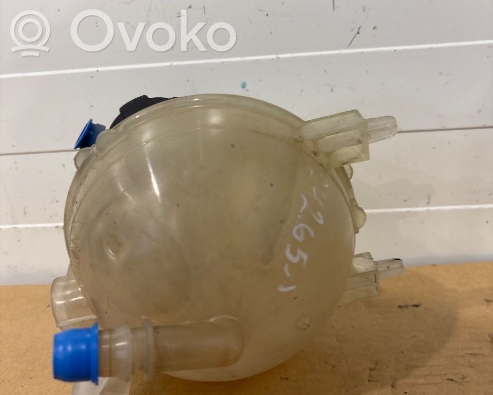 Citroen Berlingo Vaso di espansione carburante 