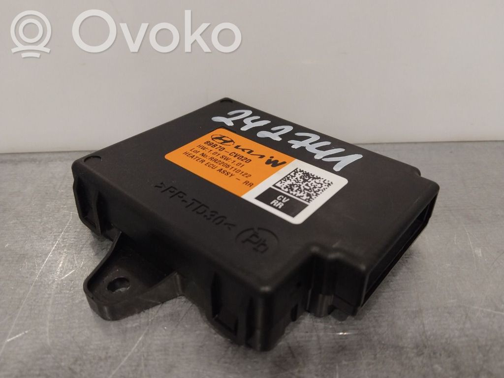 KIA EV6 Other control units/modules 