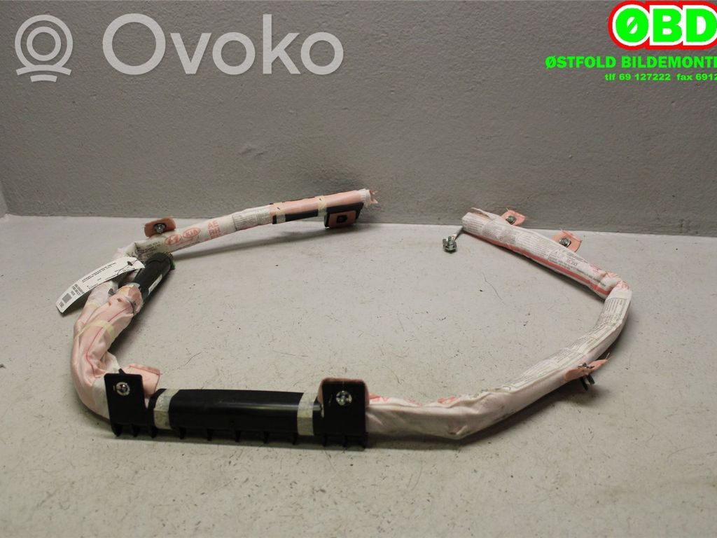 Hyundai Ioniq Airbag da tetto 