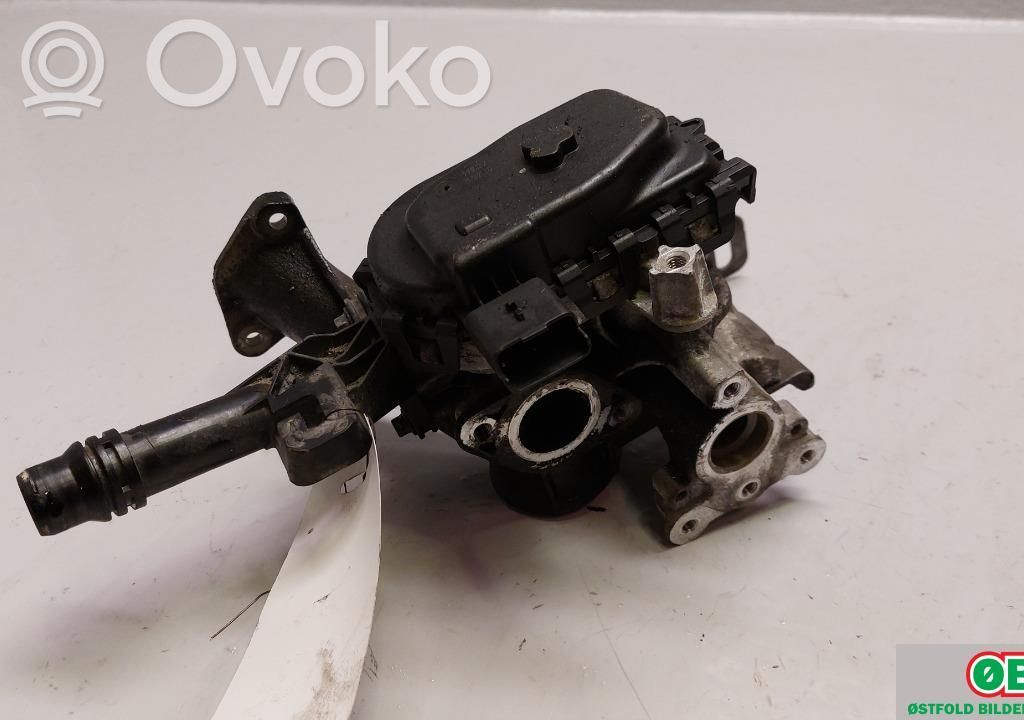 Válvula EGR   9807369980,9807369980,9807369980,9807369980