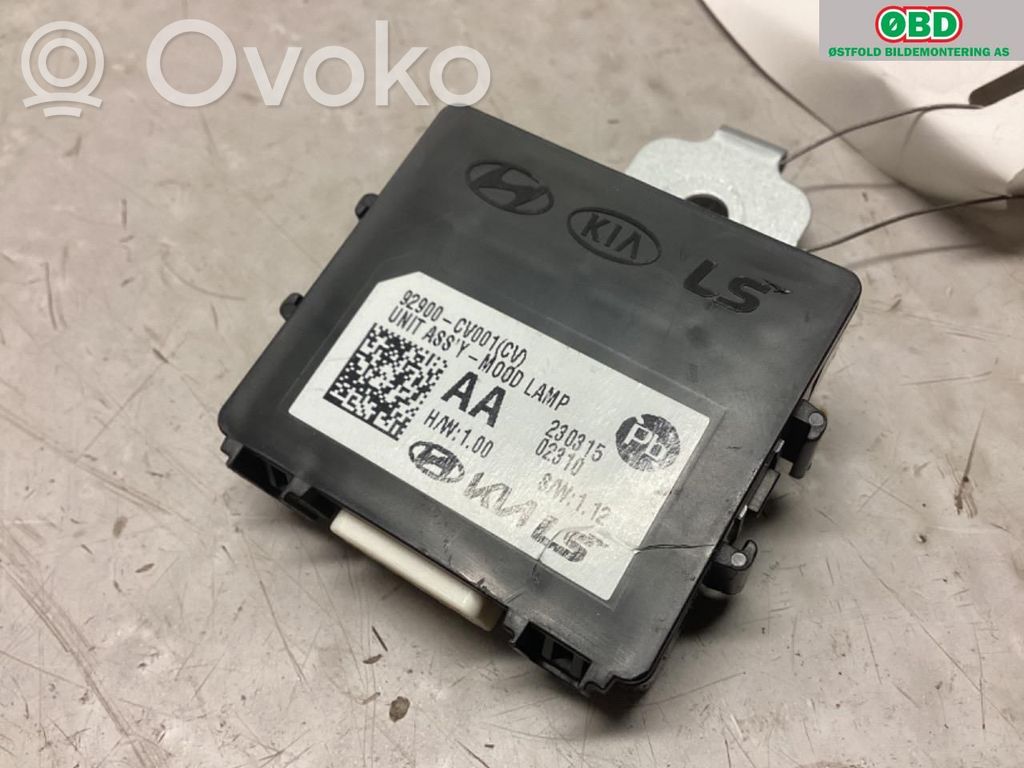 KIA EV6 Alte unități/module de control 