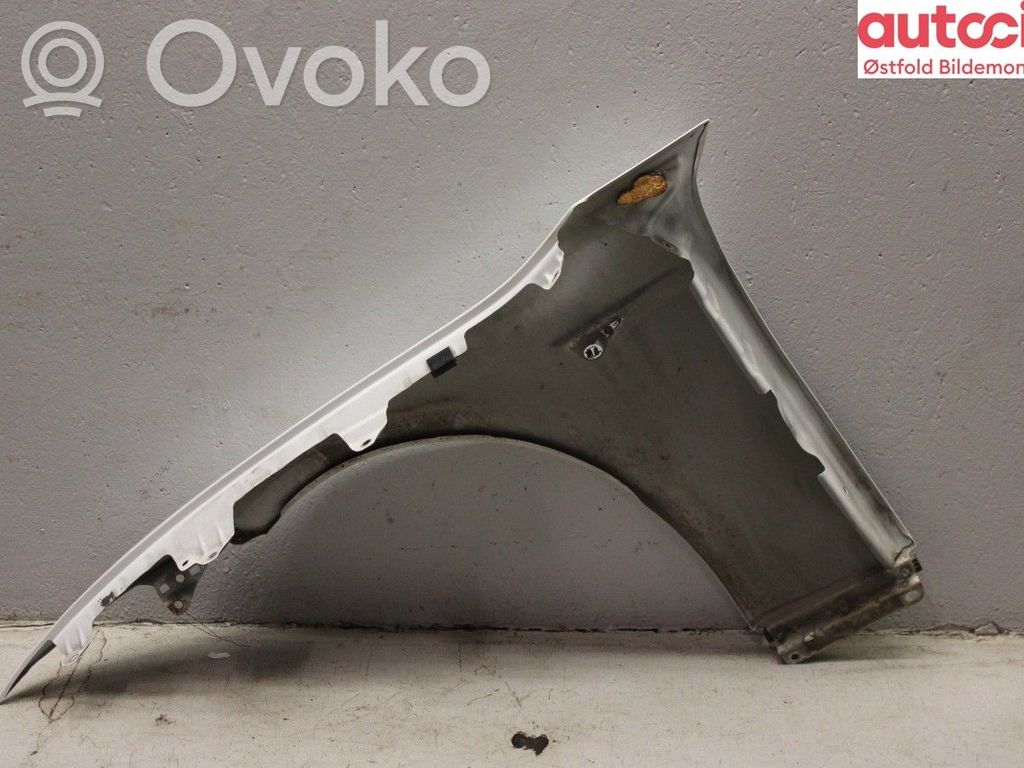 Tesla Model S Lokasuoja 