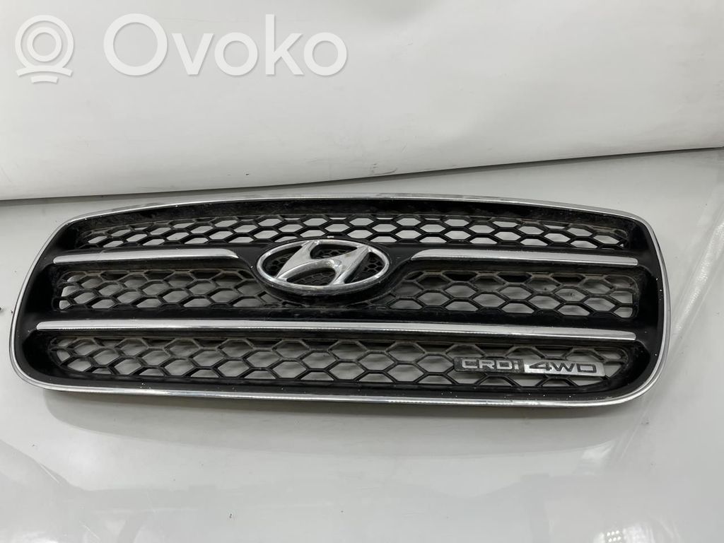 Hyundai Santa Fe Etusäleikkö 