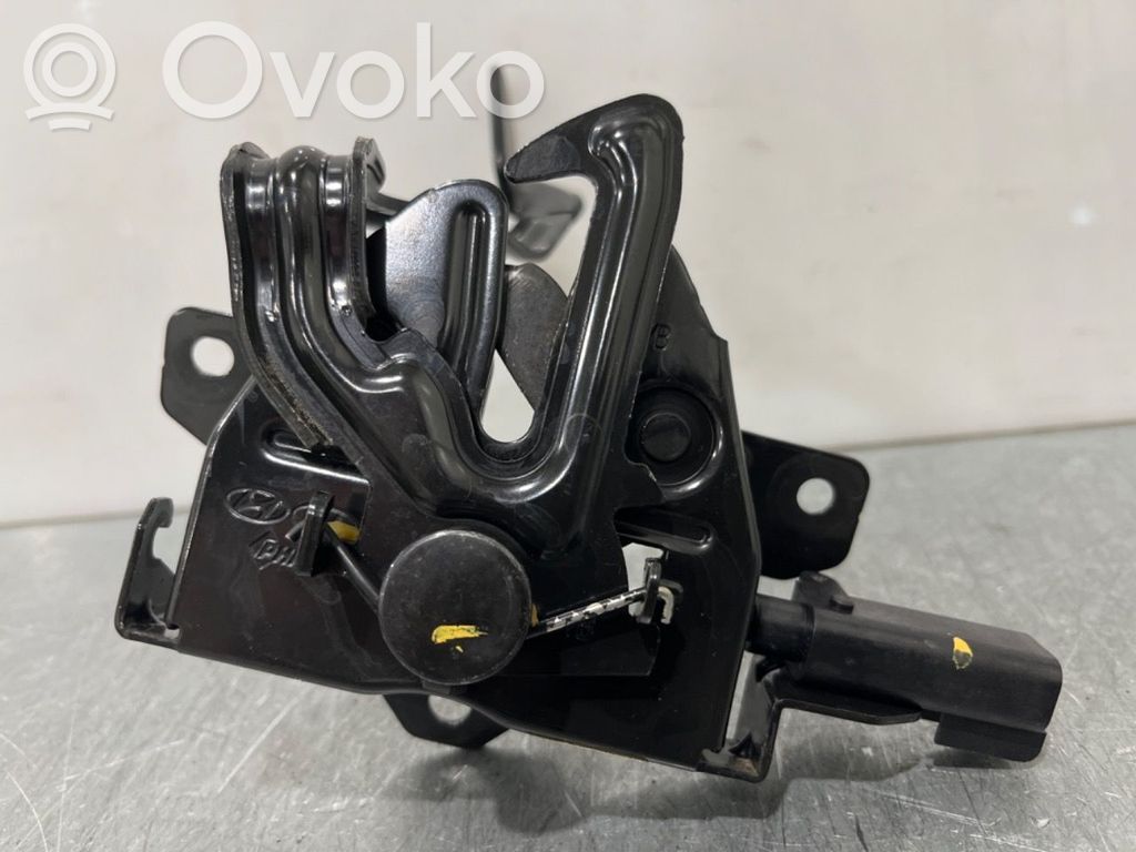 KIA Rio Spyna variklio dangčio 