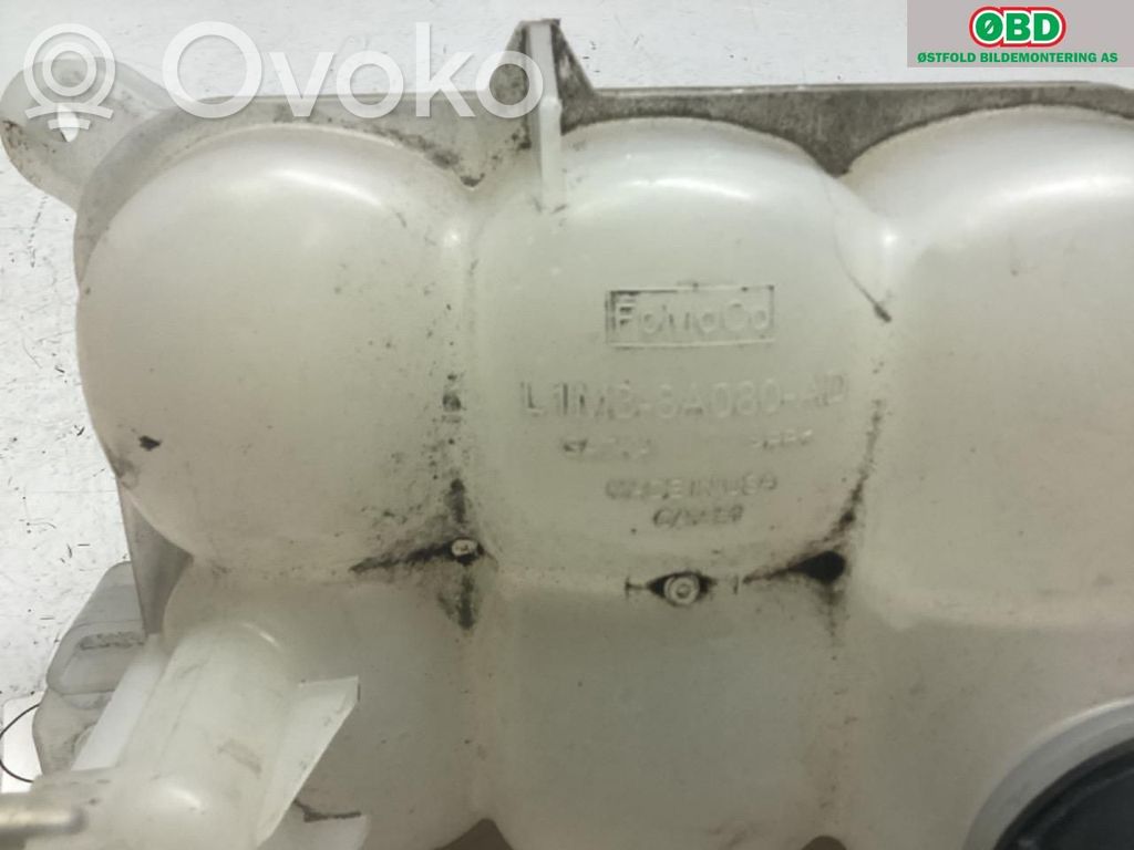 Kuro išsiplėtimo bakelis   2340403,L1M38A080AD,L1M38A080AD,2340403,L1M38A080AD