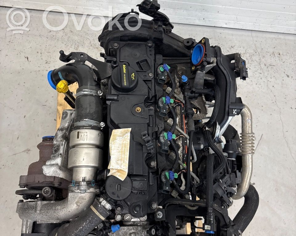 Engine   2039109,GM5Q6006CA,GM5Q6006CA,2039109,GM5Q6006CA,XWDB