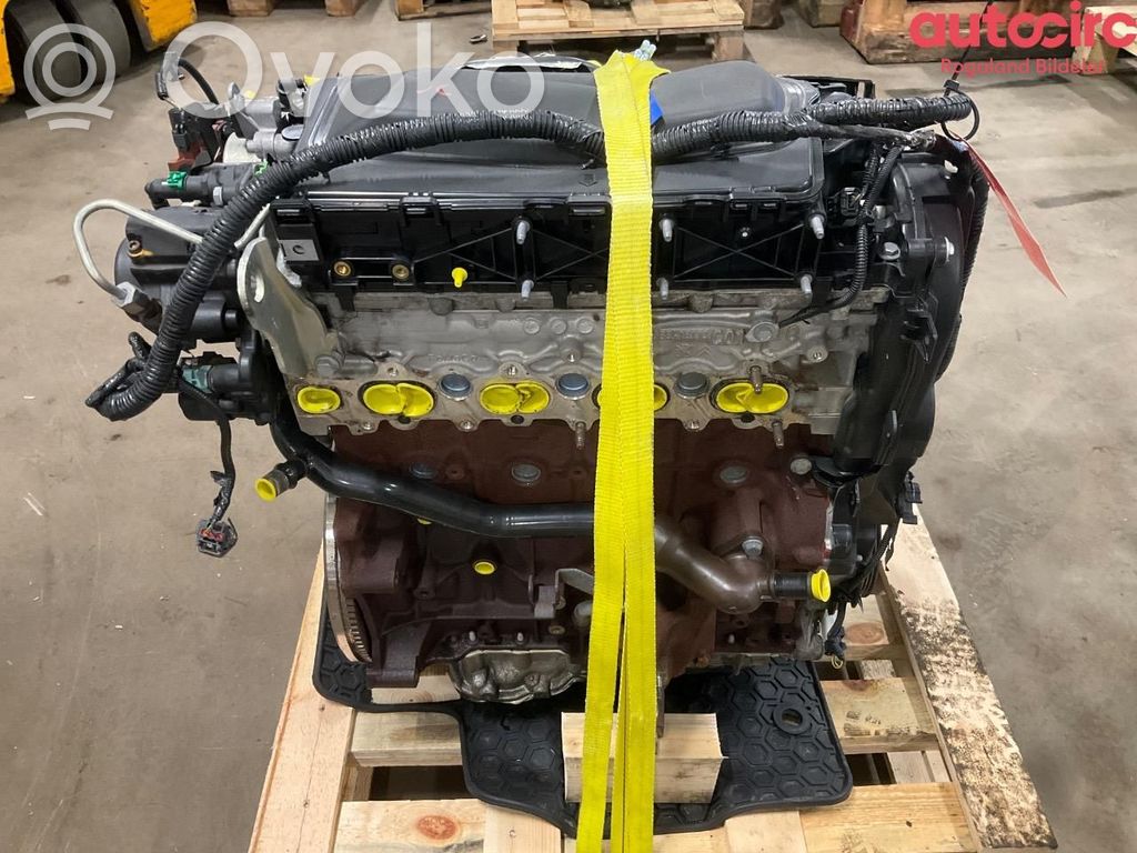 Ford Focus Motore 