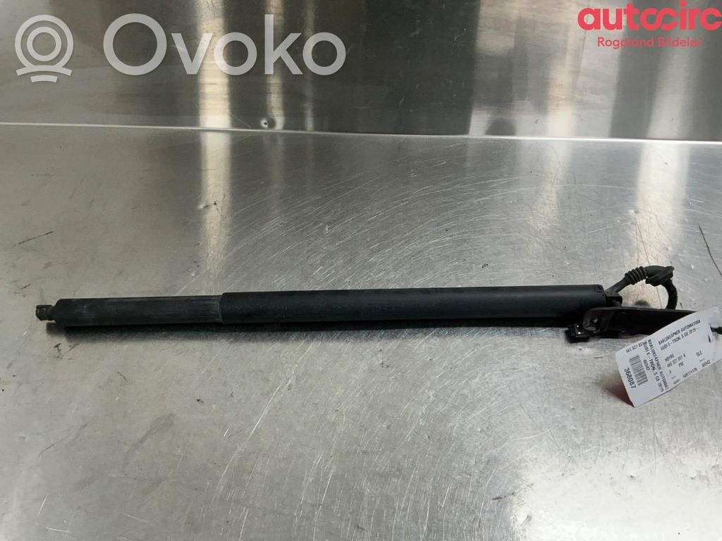 Audi e-tron Motor ridicare hayon/capotă portbagaj 