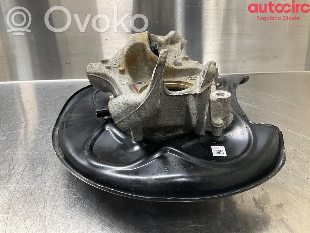 Audi e-tron Fuso a snodo con mozzo ruota posteriore 