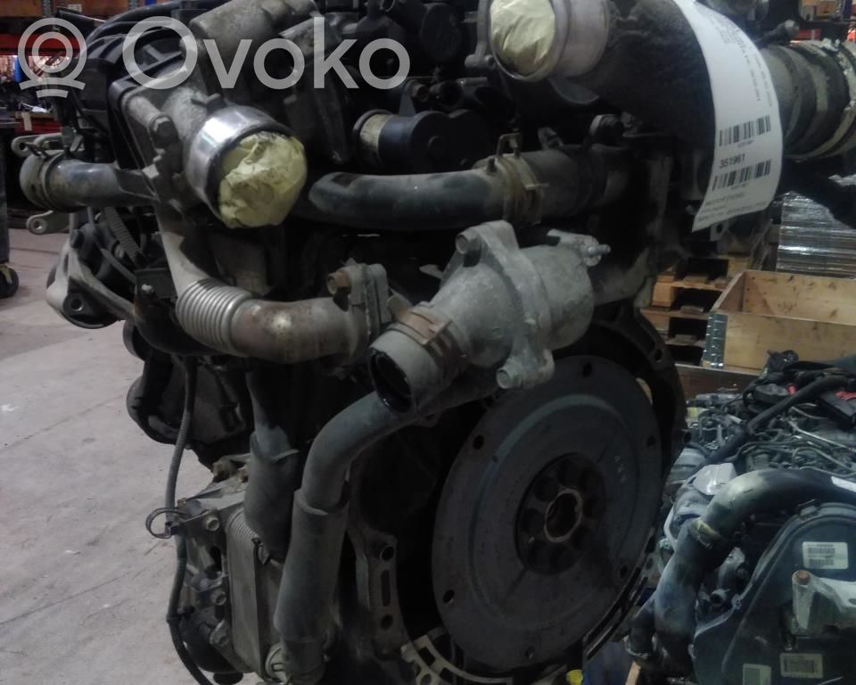 Motor   D4HB,R20AT,D4HB,R20AT